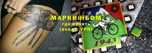 ешки Аркадак