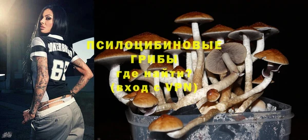 mix Арсеньев