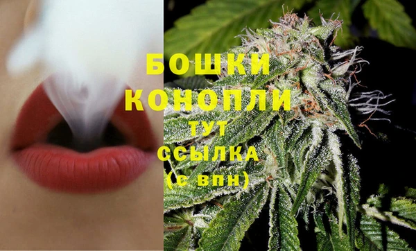 ешки Аркадак